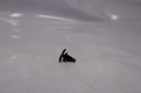 Clip de capot
