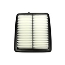 Filtro de aire motor