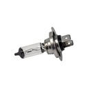 Halogeno H7 (luz alta)