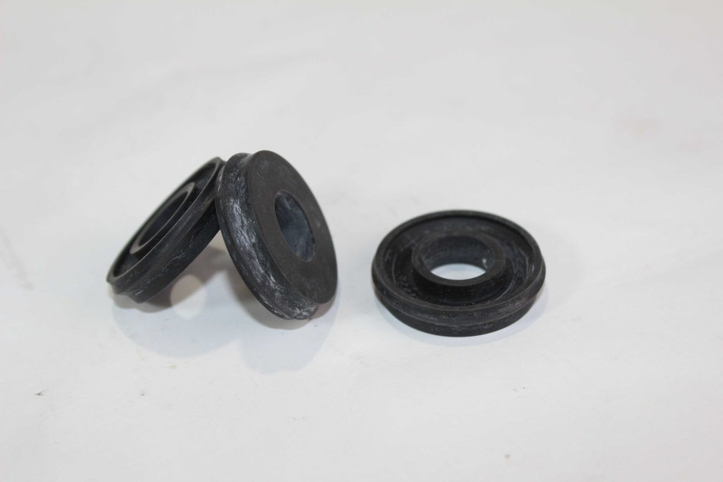 Kit reparo de cilindro de freno del. (cubeta y capuchon).