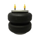 Mola de Suspensión Neumática FS250 con base de 2 pernos en la base para 2+1 Fijo  Suspensys