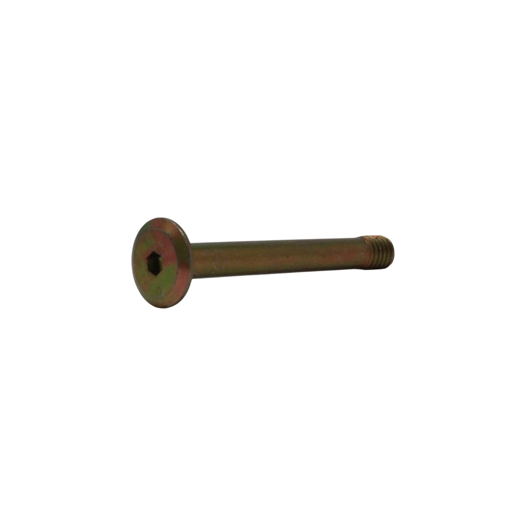 Perno 5/16" x 67mm Randon