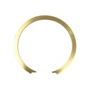 Anillo de retencion