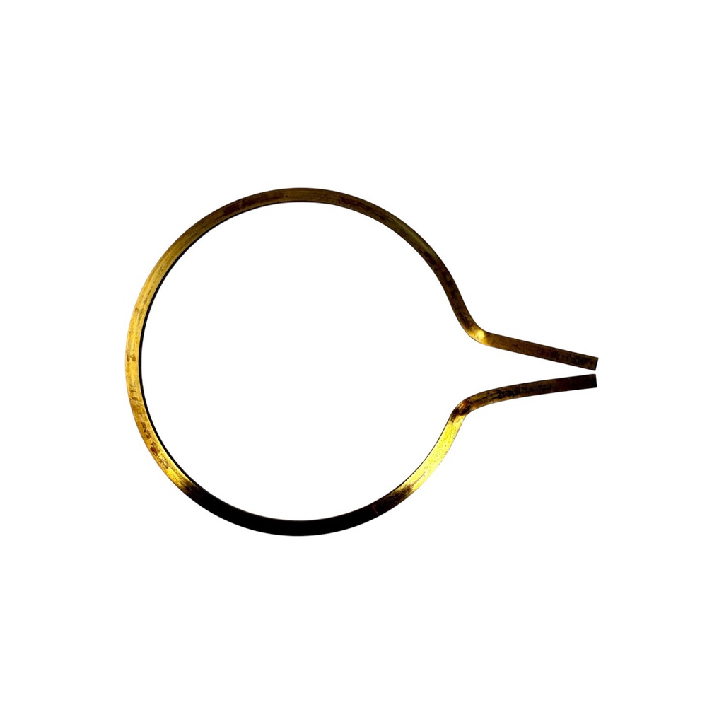 Anillo de retencion
